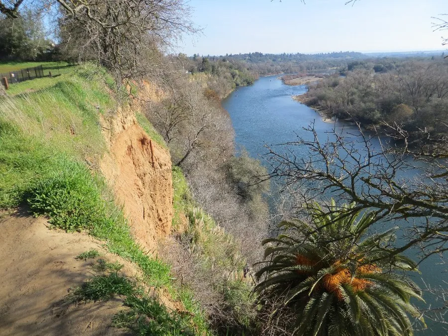 Fair Oaks Aussies Travel — on location