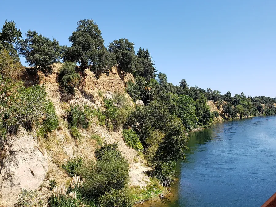 Fair Oaks Aussies Travel — on location