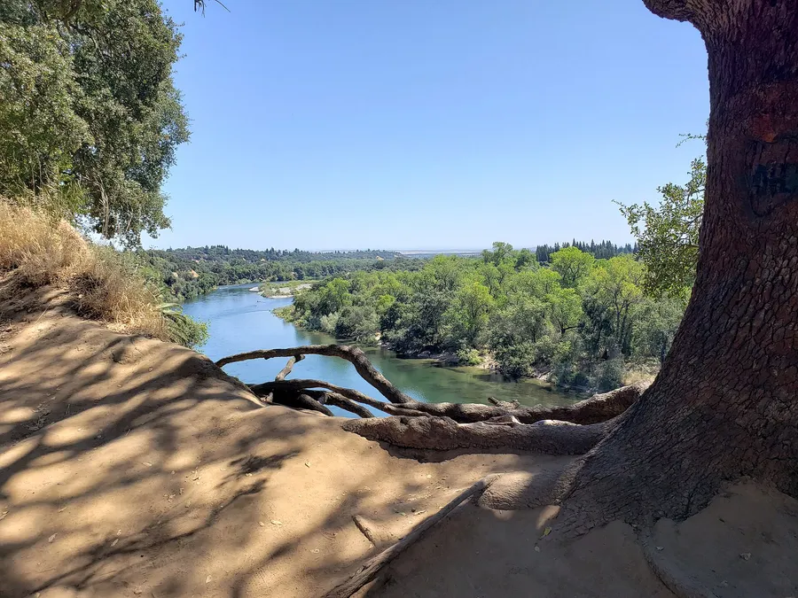 What changed in Fair Oaks Aussies Travel