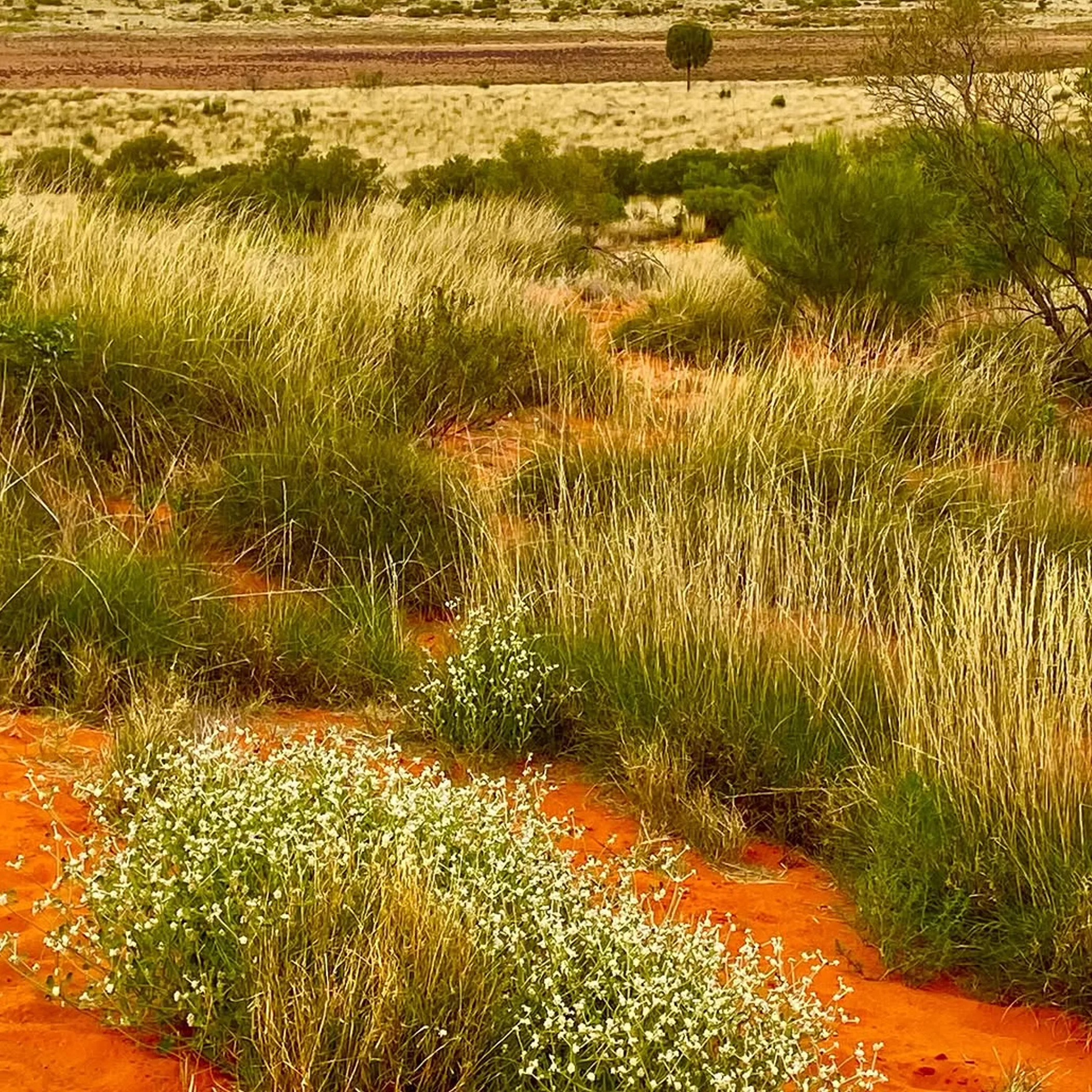 water bottles and hydration pack outback hike